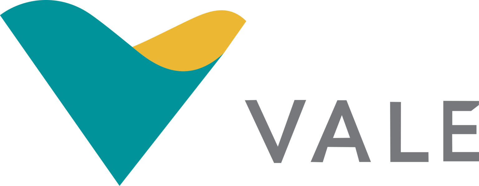 Vale (VALE3) Tudo que você precisa saber sobre a mineradora líder do ...