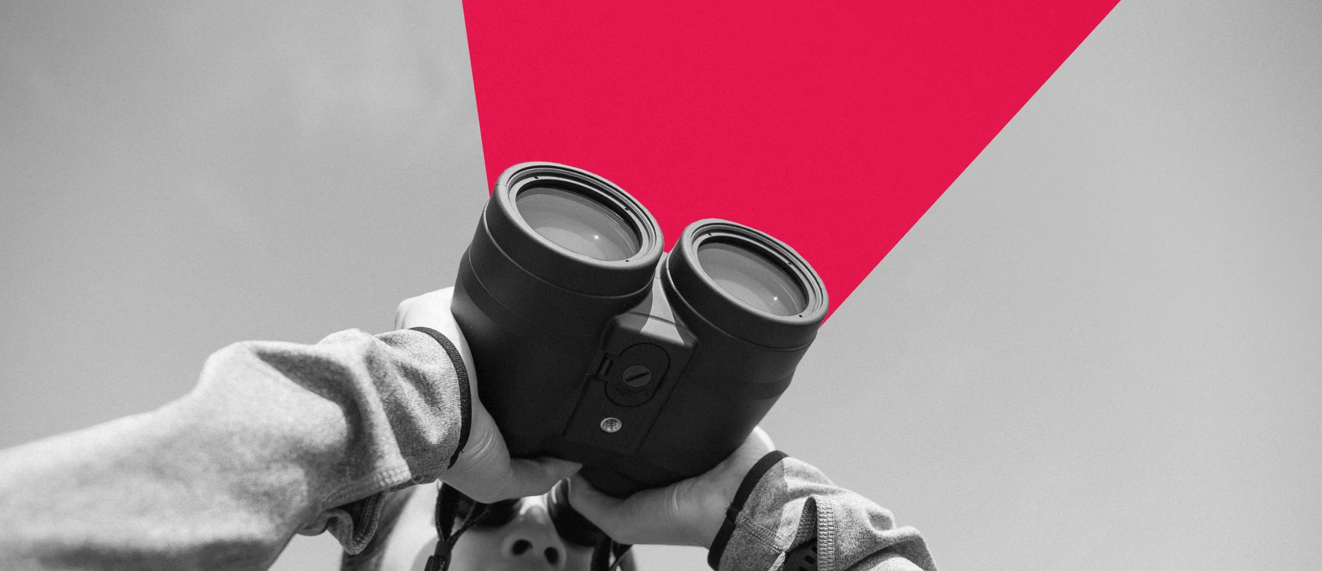 Benchmark: como avaliar o desempenho de investimentos